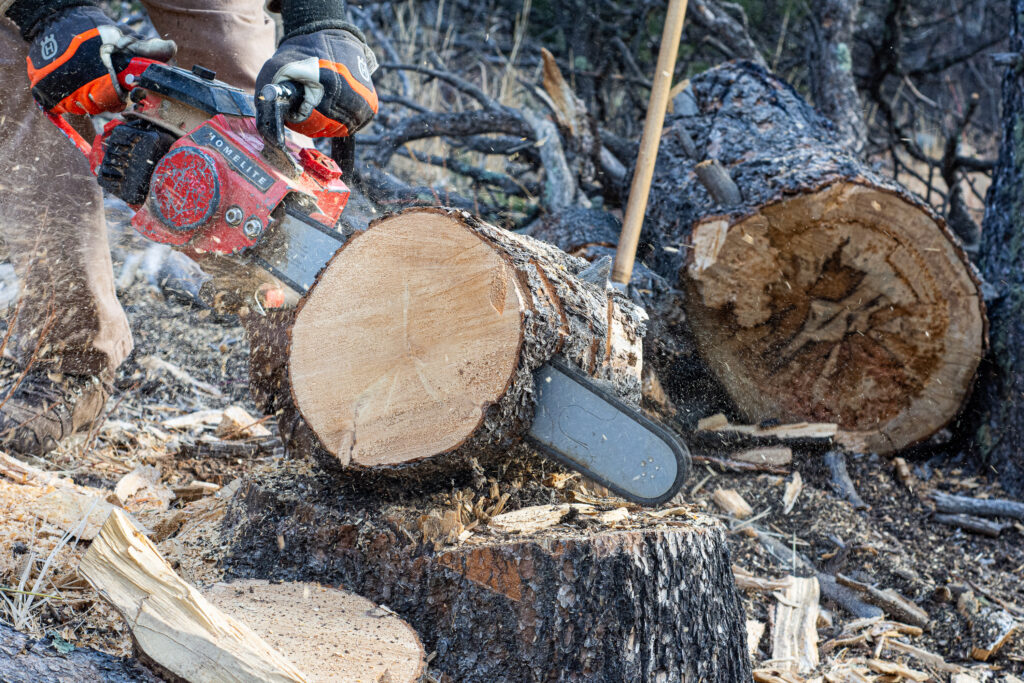 how-to-cut-wood-slices-aka-diy-wood-cookies