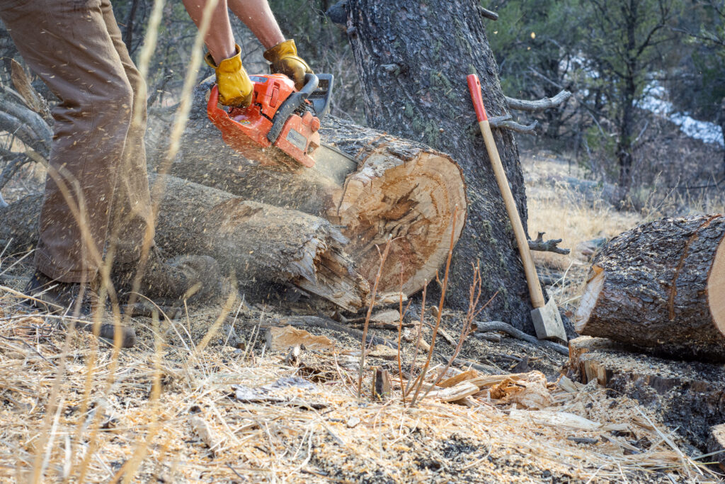 chainsaw-brands-where-are-they-made-chainsaw-buddy